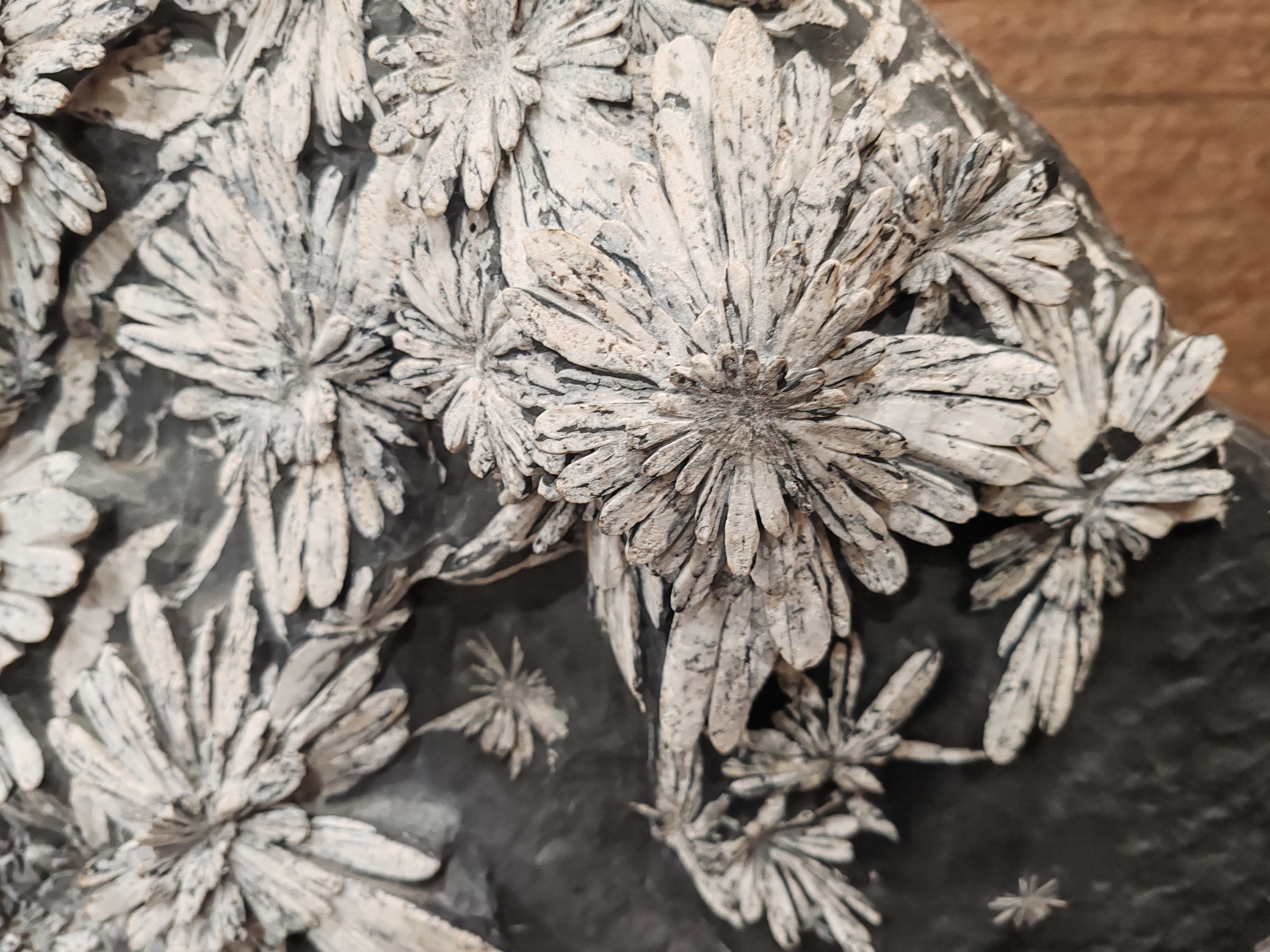 长沙地质博物馆